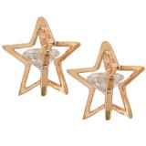 Shining star oorhangers